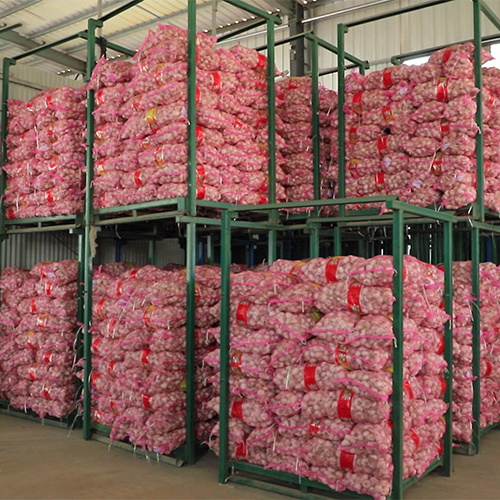 Wholesale price fresh garlic