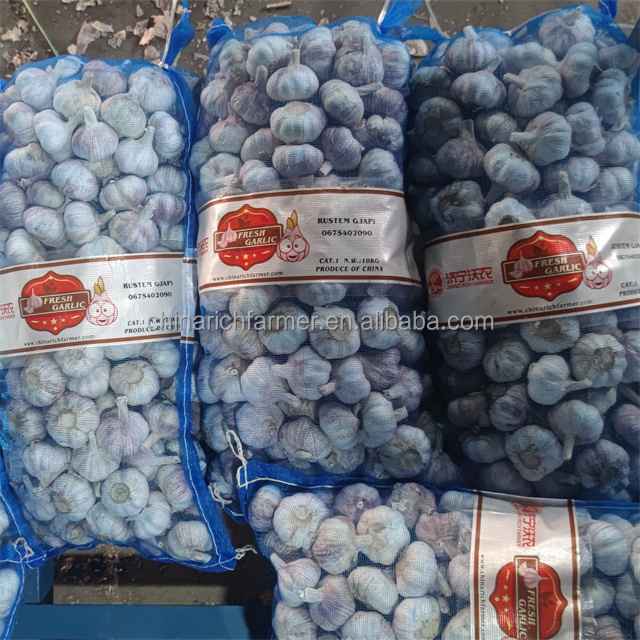 Garlic Price Normal White Ajo Garlic Price From China