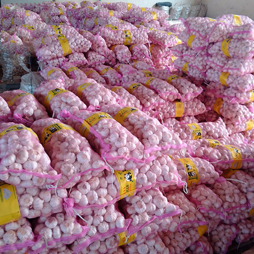 Wholesale price fresh garlic