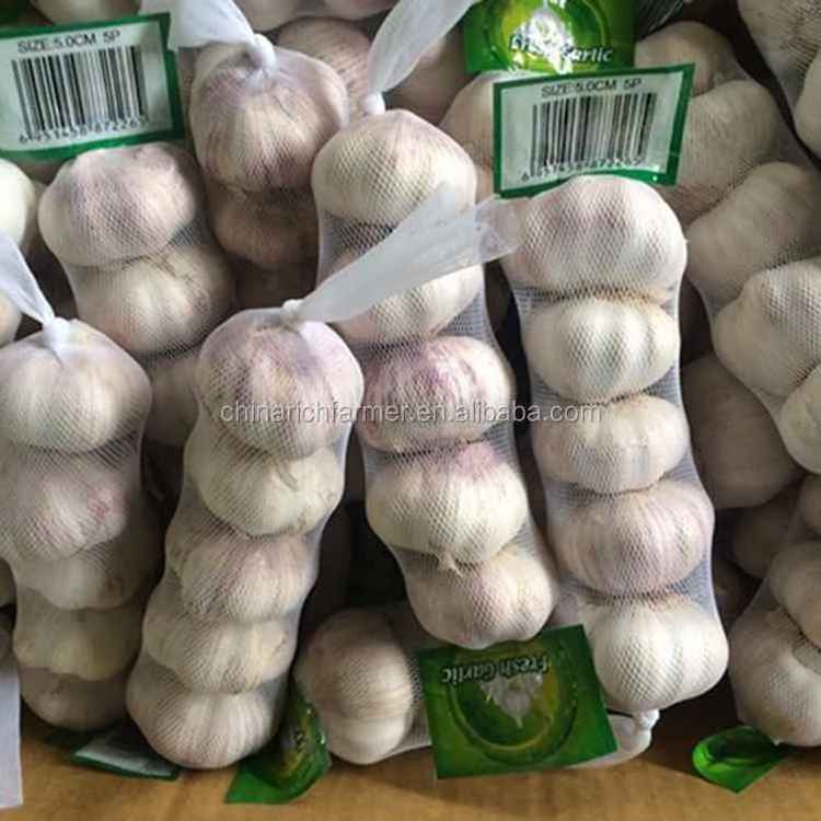 Garlic Price Normal White Ajo Garlic Price From China