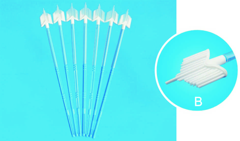 broom type endocervical cervix iron broom type sampling cervical vaginal disposable sterile medical cytology cyto cervical brush