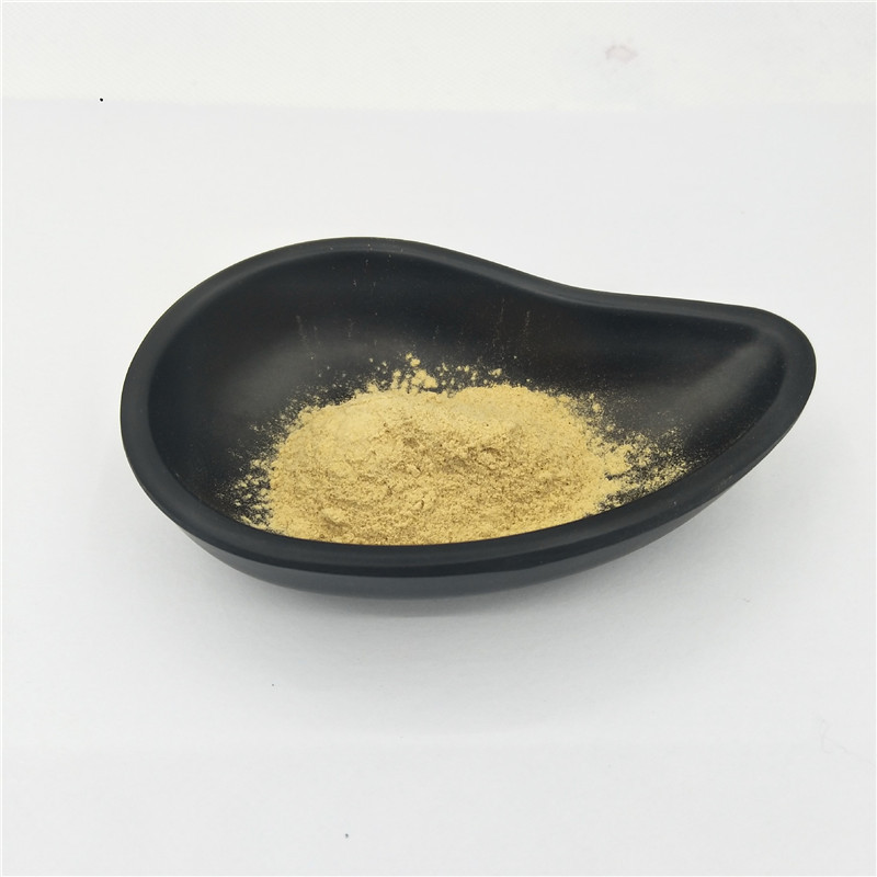 Wholesale High Quality Pure Natural Organic Kava Root Extract Powder 30% Kavalactones  Kava Extract Bulk