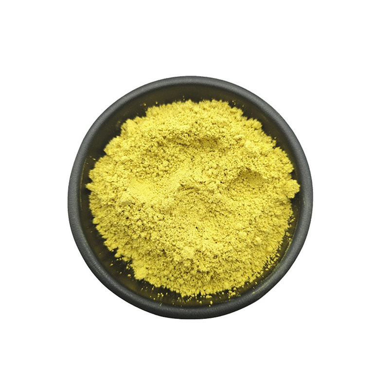 Professional Quercetin Manufacturer Sophora Japonica Extract 95% Quercetin Anhydrous Extract Powder