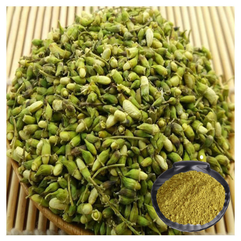 Professional Quercetin Manufacturer Sophora Japonica Extract 95% Quercetin Anhydrous Extract Powder