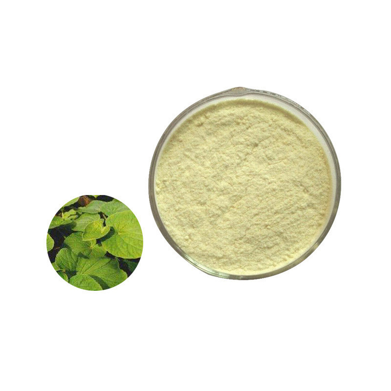 Wholesale High Quality Pure Natural Organic Kava Root Extract Powder 30% Kavalactones  Kava Extract Bulk