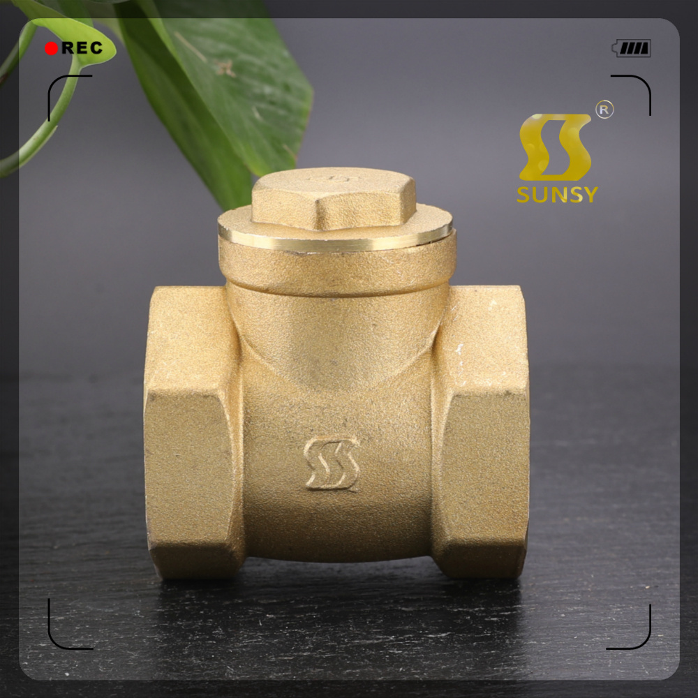 SSF40160 Brass foot valve bottom valve 1/2