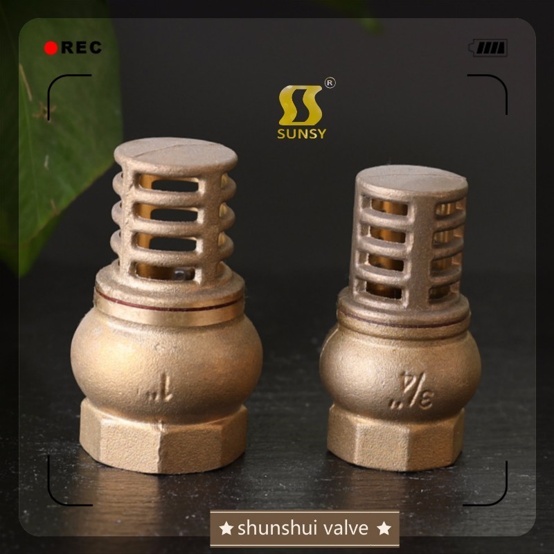 SSF40160 Brass foot valve bottom valve 1/2