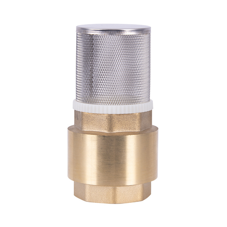 China Foot Valve non-return valve swing vertical lift foot ball spring check valve thread pressure