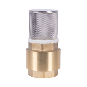 China Foot Valve non-return valve swing vertical lift foot ball spring check valve thread pressure