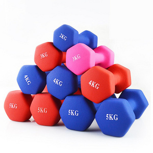 wholesale dip dumbbells set hex Gym dumbbells home gym equipment  weight lifting  neoprene vinyl dumbbell for women