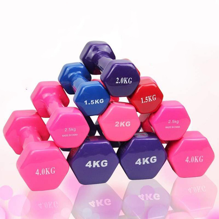 wholesale dip dumbbells set hex Gym dumbbells home gym equipment  weight lifting  neoprene vinyl dumbbell for women