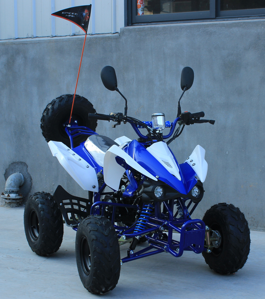 ATV004 Popular sell 125cc ATV and 125cc cuadratrack with CE,Hot sell 110cc Quad with CE