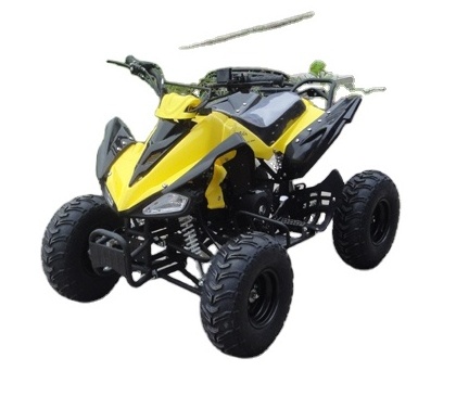 ATV004 Popular sell 125cc ATV and 125cc cuadratrack with CE,Hot sell 110cc Quad with CE