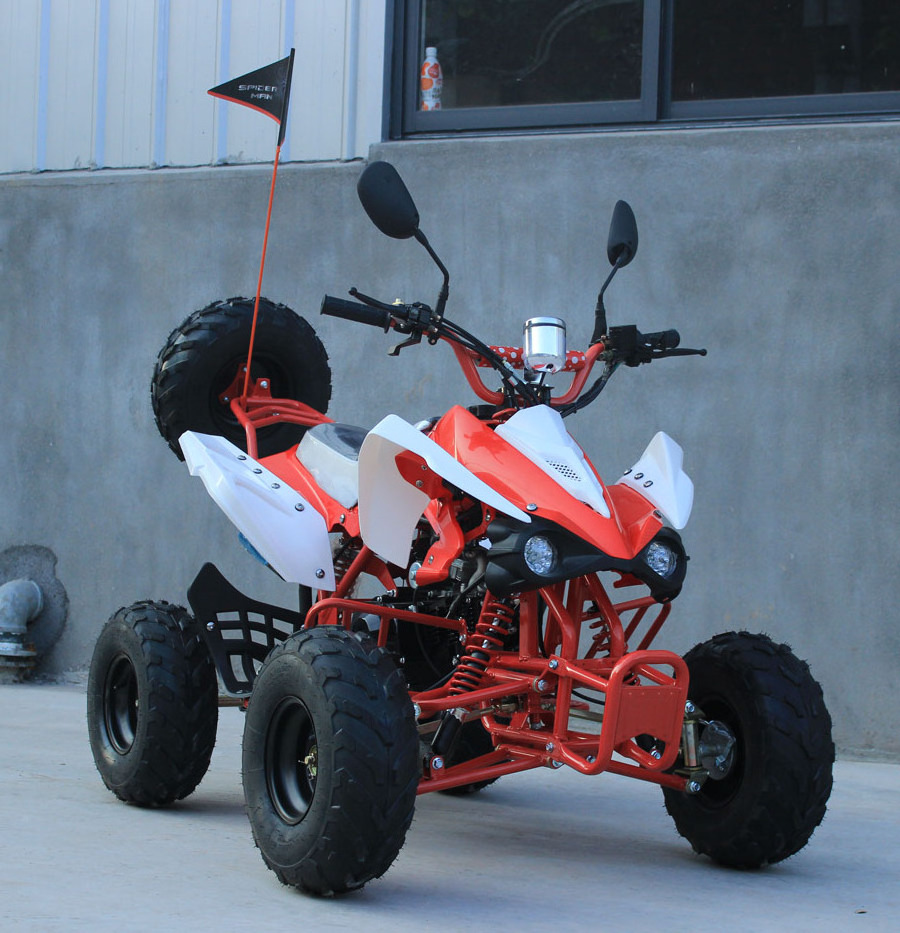 ATV004 Popular sell 125cc ATV and 125cc cuadratrack with CE,Hot sell 110cc Quad with CE