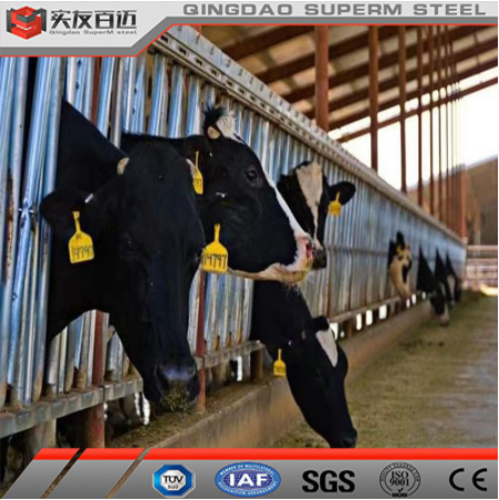 Agricultural Light Section Steel House Prefab Steel House Farm Steel Structure Cow /Horse Barn For Sale