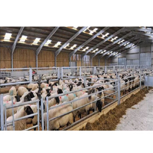 Prefab Light Metal Industrial Construction Building Prefabricated Steel Structure Cow Farm Cattle Barn for Sale