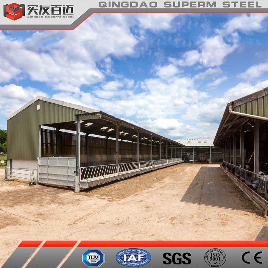 Agricultural Light Section Steel House Prefab Steel House Farm Steel Structure Cow /Horse Barn For Sale