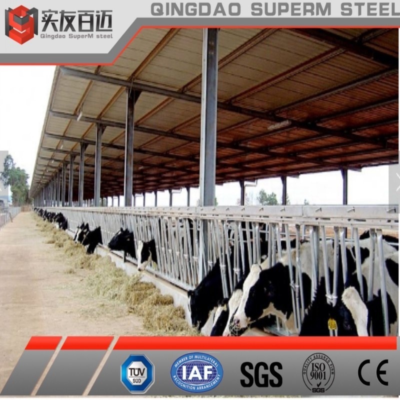 Prefab Light Metal Industrial Construction Building Prefabricated Steel Structure Cow Farm Cattle Barn for Sale