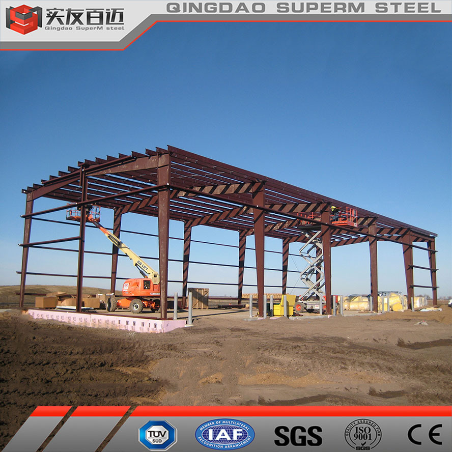 Prefabricated Metal Plant Building Steel Structure Workshop for Easy Installation