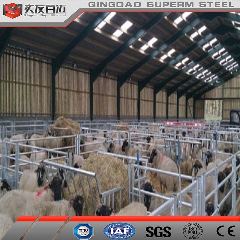 Low Cost Livestock Shelter Prefabricated Cattle Barn Steel Structure Sheep Goat Shed