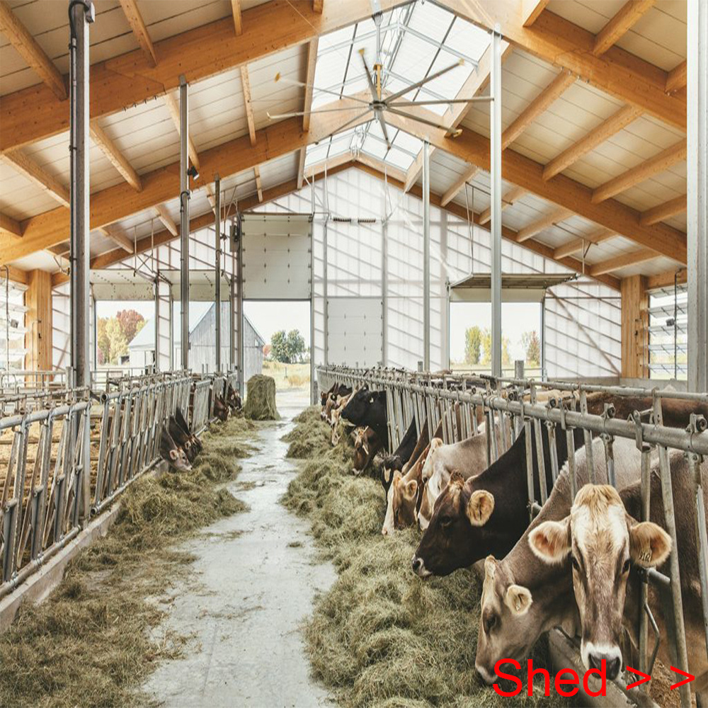 Low Cost Prefab Metal Building Steel Structure Farm Building Prefabricatec Cattle Barn Cow Goat Sheep Shed for Sale