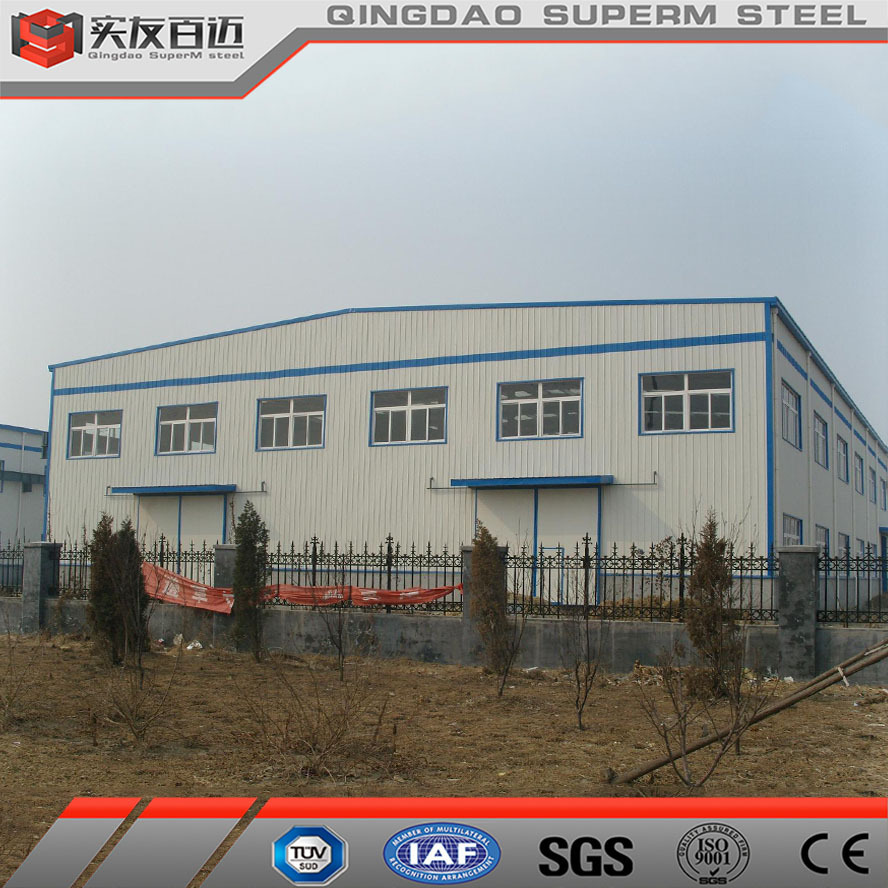 Prefabricated Metal Plant Building Steel Structure Workshop for Easy Installation