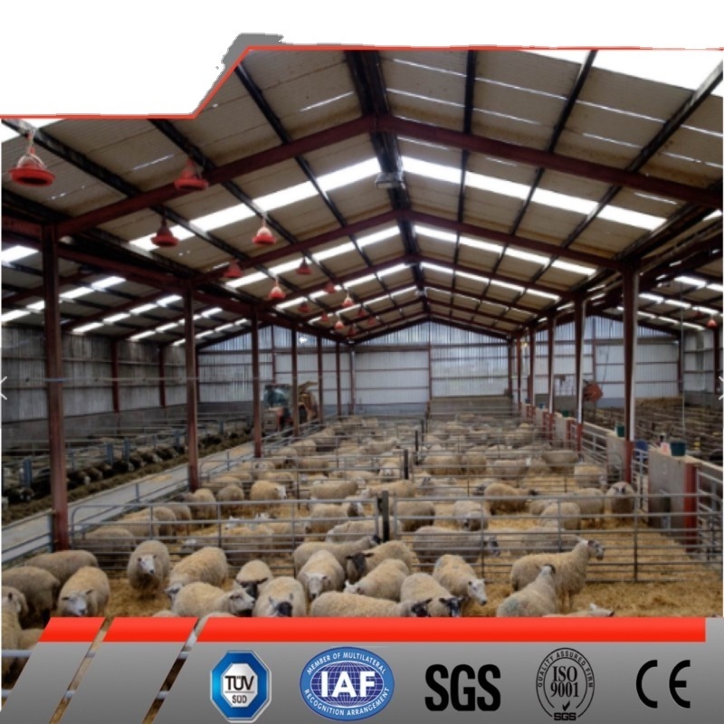 China Low Cost Prefabricated Metal Building Steel Structure Cow Shed Cow House Cattle Shed Sheep Shed Building