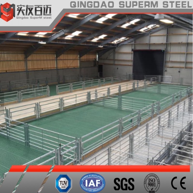 Prefab Light Metal Industrial Construction Building Prefabricated Steel Structure Cow Farm Cattle Barn for Sale