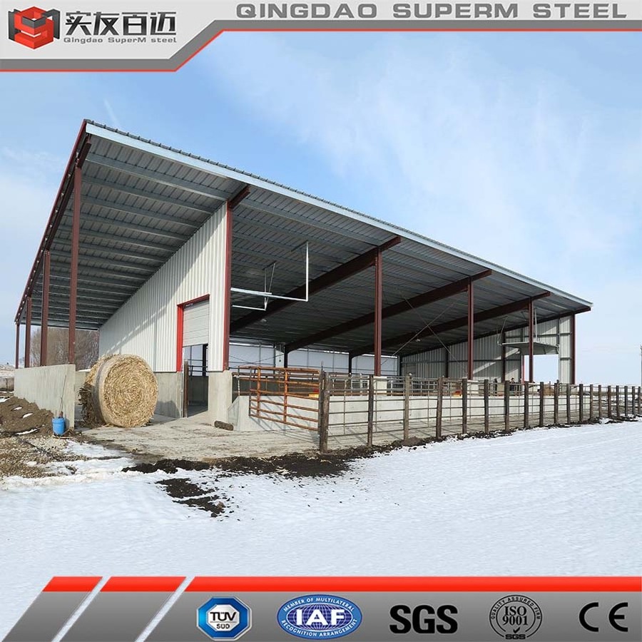 Agricultural Light Section Steel House Prefab Steel House Farm Steel Structure Cow /Horse Barn For Sale