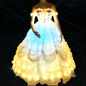 Cosplay Party Light Up Dress Princess Fashion Halloween Fairy Fancy Dress Costumes