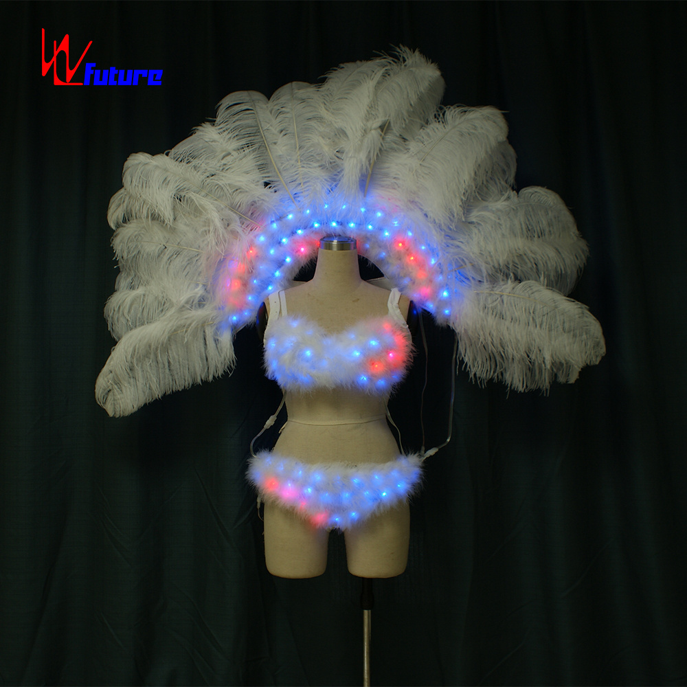 WL-0187 LED Light Carnival Dance Costumes Wings Backpack Showgirl Costume Performance Exotic Dancewear Brazil Handmade Adults