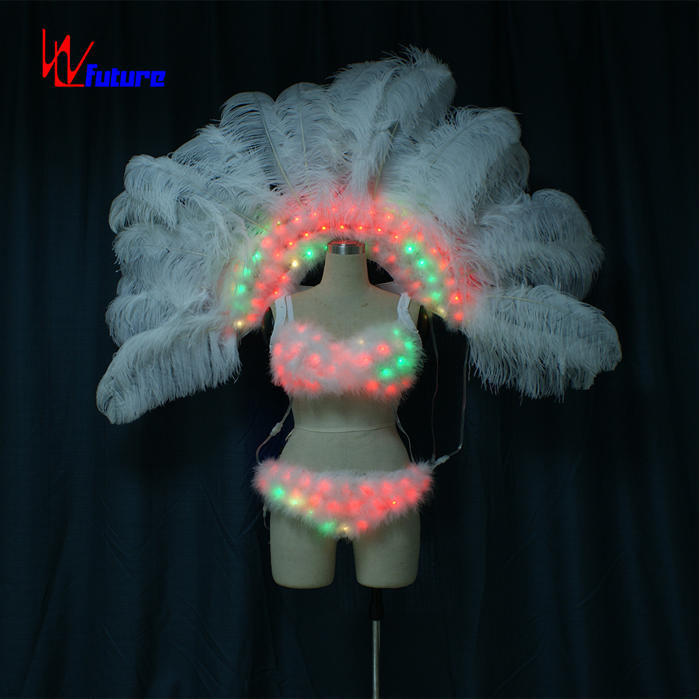 WL-0187 LED Light Carnival Dance Costumes Wings Backpack Showgirl Costume Performance Exotic Dancewear Brazil Handmade Adults