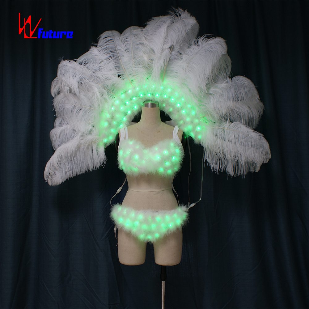 WL-0187 LED Light Carnival Dance Costumes Wings Backpack Showgirl Costume Performance Exotic Dancewear Brazil Handmade Adults