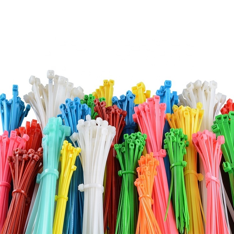 Fscat Custom High quality Coluor Selflocking nylon 66 cable ties plastic zip ties wire tie wraps