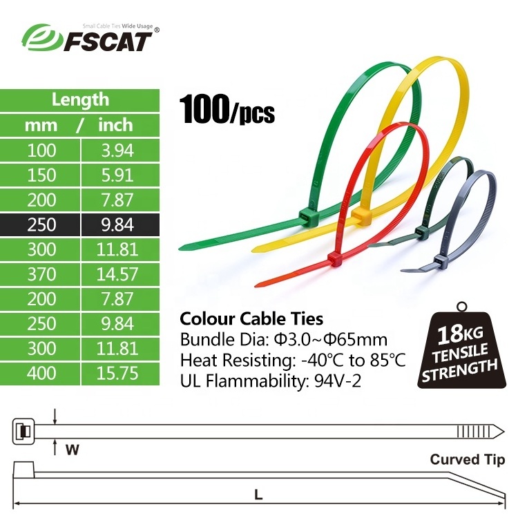 Fscat Custom High quality Coluor Selflocking nylon 66 cable ties plastic zip ties wire tie wraps