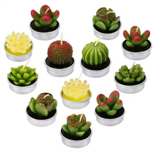 Tealight Candles Gift Set Handmade Delicate Smokeless Cute Succulents Green Plant Candle for Party