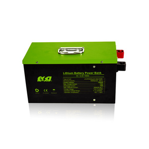 ESG Factory Battery 100Ah 12.8V100ah Prismatic Lithiumbatterie 12.8V Lifepo4 Batterie Lithium Battery