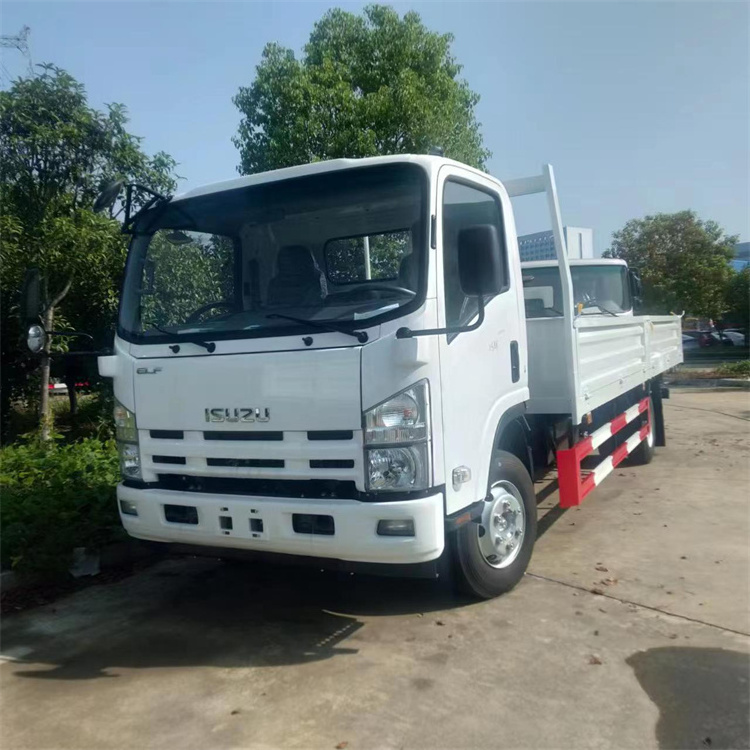 Best Selling Isuzu 6 wheeler lorry whole cargo truck lorry crane malaysia sales lorry