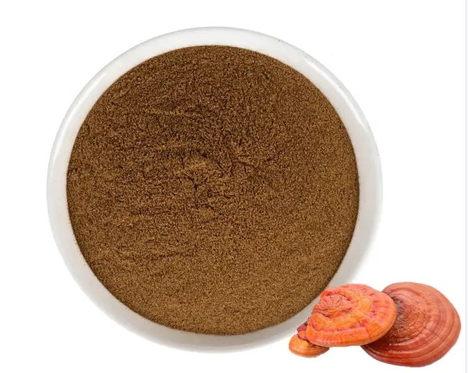 Ganoderma Lucidum Polysaccharide 10% 20% 30% 40% 50% Lingzhi Mushroom Extract Reishi Mushroom Extract