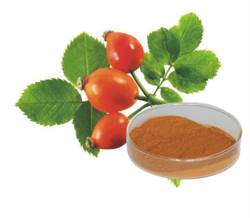 100% Pure Nature Rose Hip Extract Raw Material Powder For Health Foods And Dietary Supplement