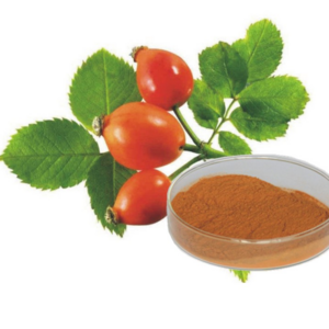 100% Pure Nature Rose Hip Extract Raw Material Powder For Health Foods And Dietary Supplement