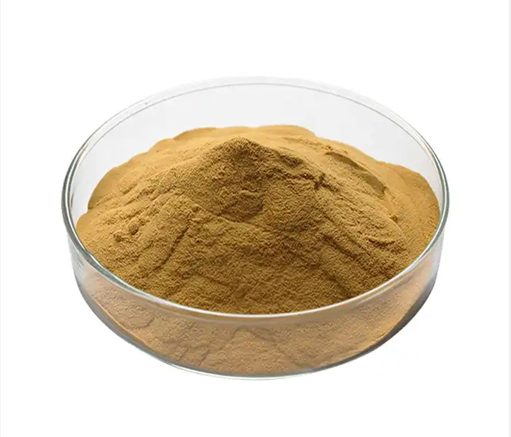 100% Pure Nature Rose Hip Extract Raw Material Powder For Health Foods And Dietary Supplement