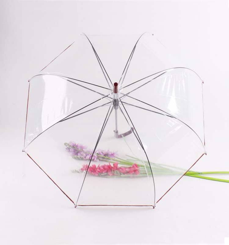 high quality pvc transparent umbrella Apollonian shape  with colorful edge full body umbrella