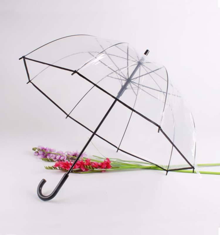 high quality pvc transparent umbrella Apollonian shape  with colorful edge full body umbrella