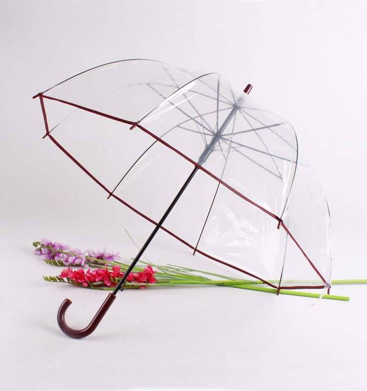 high quality pvc transparent umbrella Apollonian shape  with colorful edge full body umbrella