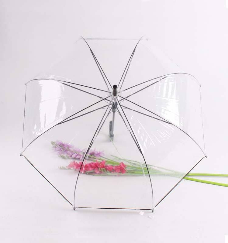 high quality pvc transparent umbrella Apollonian shape  with colorful edge full body umbrella