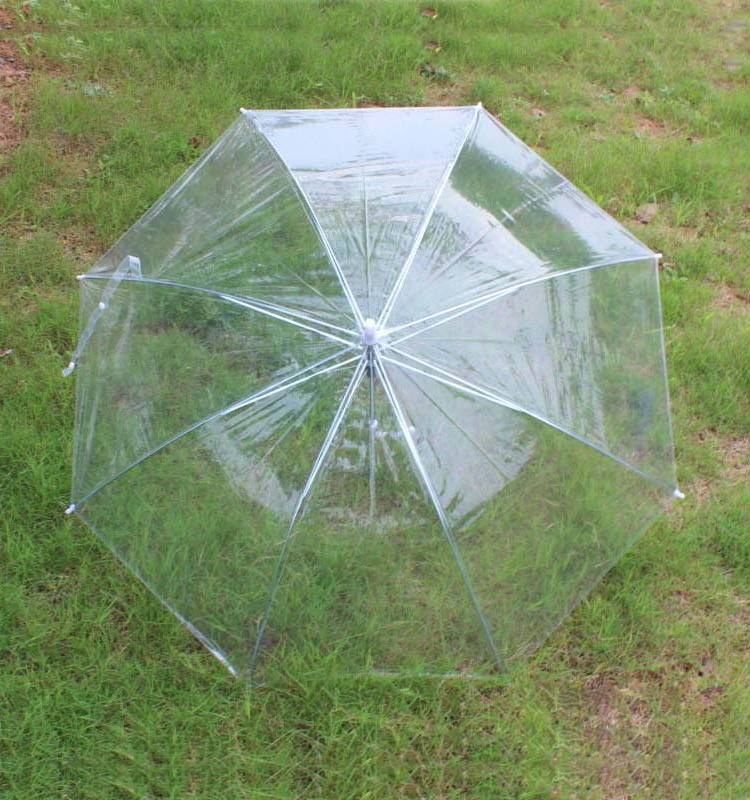 clear umbrella  21