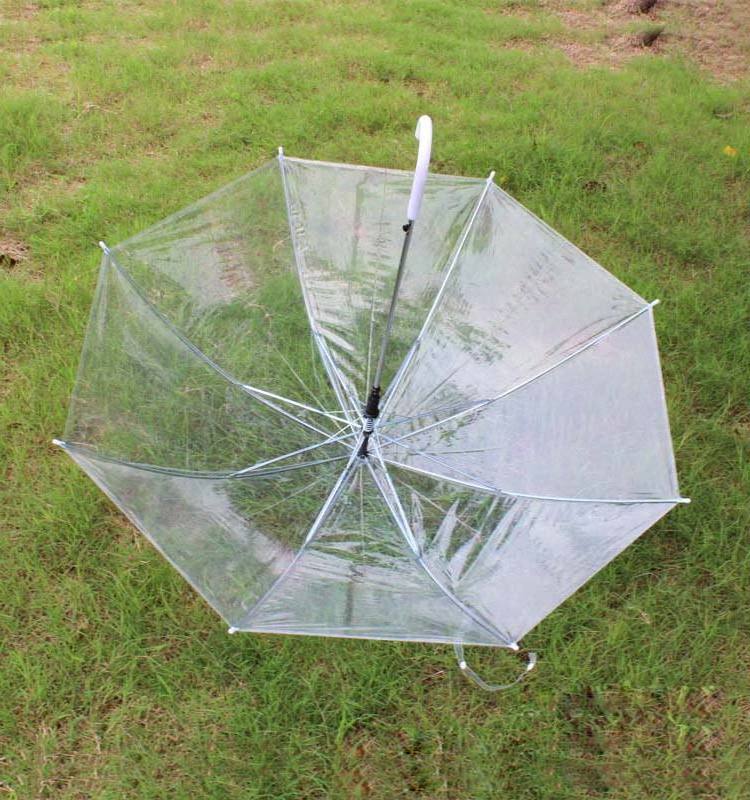 clear umbrella  21