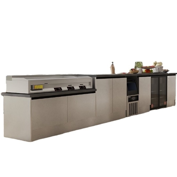 Full 316 Stainless Steel Design Modular Kitchen Cabinet Outdoor Kitchen Cabinet with Modern BBQ Gas Grill Garden Kitchen