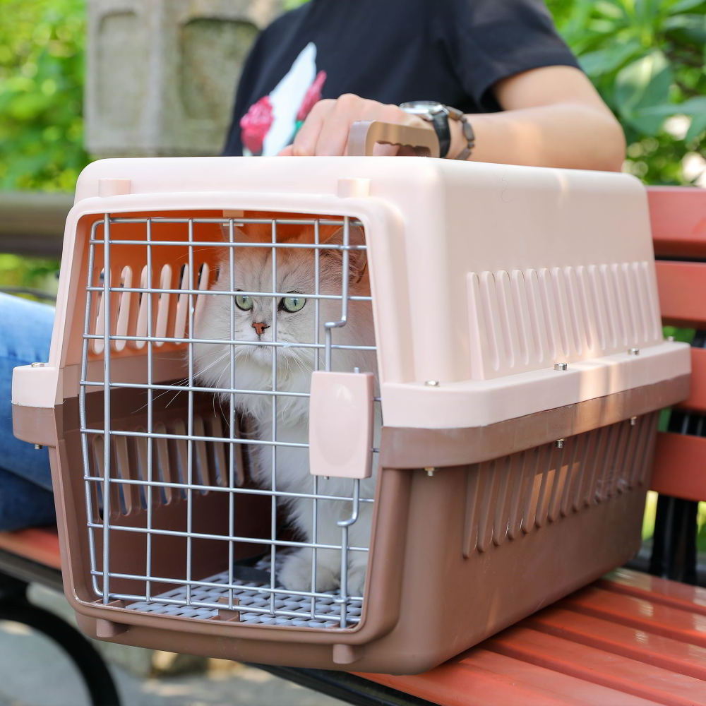 Hot Sale Dog Transport Box Airline Approved Pet cat Carrier bag Plastic House Pet Cages